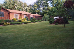 landscaping.jpg